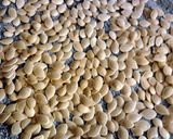 A picture of step 3 of Sweet Toasted Acorn ( Winter ) Squash Seeds.