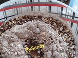 Cookies veganas de avena. 5' de Preparación. 15' de cocción #DMA