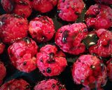 A picture of step 4 of Vanilla balsamic figs and raspberries, ginger'n'lime crumble and Greek yoghurt.
