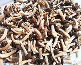 A picture of step 1 of Rice Cooked with Dried Shimeji Mushrooms.