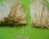 A picture of step 5 of How to Brush-Clean and Freeze Enoki Mushrooms.