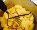 A picture of step 9 of Everyone's Favorite Applesauce.
