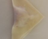 A picture of step 18 of Wanton Wonton Soup.