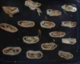 Foto del paso 5 de la receta: Rollitos de cebolla y queso!!