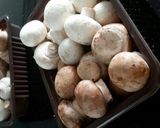 A picture of step 8 of Mushroom Cream Soup.