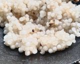 সাবুদানার পায়েস(sabudanar payesh recipe in Bengali) রেসিপির ধাপ 2 ছবি