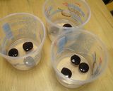 A picture of step 7 of Simple & Jiggly Egg Custard Pudding.