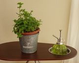 A picture of step 12 of Easy Mint Mousse.