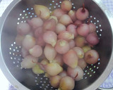 Foto del paso 10 de la receta: Cebollitas morunas en vinagre con toques aromáticos
