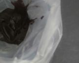A picture of step 7 of Chocolate biscuit.