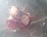 Foto del paso 5 de la receta: Chipotles adobados