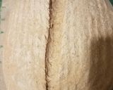 A picture of step 10 of California 100% Whole Grain Sourdough Bread.