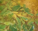 A picture of step 1 of HerbalTurmericwater#theme challenge#stayhome.