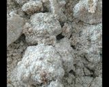 Foto del paso 6 de la receta: Galletitas veganas integrales de pera 🍐