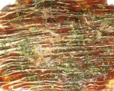 A picture of step 6 of Tempura Crumbs with Dried Shrimp.