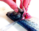 A picture of step 7 of How to Fillet a Whole Fish.