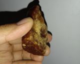 Foto langkah ke 3 dari resep Cumi asin balado pedas mudah dan anti gagal.