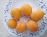 عکس مرحله 13 از دستور پای کیک کرمدار زردآلوsolmaz