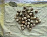 Foto del paso 1 de la receta: Berberechos al vino blanco