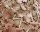 মাশরুম কারি (mushroom curry recipe in Bengali) রেসিপি ধাপ - 1 ছবি