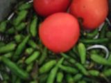 Sambel Kecambah