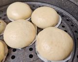 Foto langkah ke 7 dari resep Bakpao Isi Selai Coklat (No Mixer).