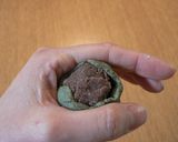 A picture of step 7 of Yomogi Manju.