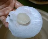 Hình bước làm 1 của món Sò điệp nướng mỡ hành