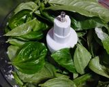 Foto del paso 4 de la receta: Pesto Casero para guardar
