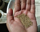 दाल और हरी मटर की बाटी (Dal aur hari matar ki bati recipe in Hindi) रेसिपी चरण 2 फोटो