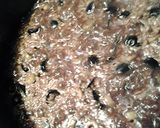 A picture of step 4 of Olive rice and malta with black beans.