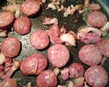 Udon noodles Cai chua ( pickled mustard)with pork recipe step 1 photo
