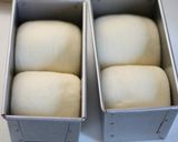 A picture of step 9 of Milk Bread.