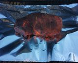 A picture of step 9 of Tangy BBQ smoked pork roast.