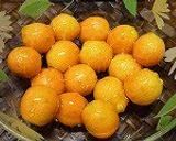 A picture of step 2 of Candied Kumquats 5 Minutes in a Microwave for Osechi.