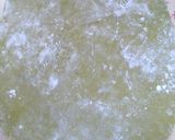 A picture of step 4 of Fresh Plin Ravioli.
