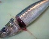 A picture of step 2 of Sardine Kabayaki.