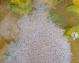 A picture of step 2 of HerbalTurmericwater#theme challenge#stayhome.