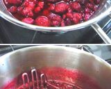 A picture of step 2 of Raspberry Sauce (Raspberry Purée).