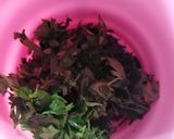 Foto del paso 4 de la receta: Sopa de cultivateur