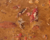 Foto del paso 11 de la receta: Arroz caldoso con bogavante