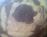 Foto del paso 4 de la receta: Torta Marmolada