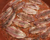 Foto del paso 9 de la receta: Cazuela de boqueroncillos, en salsa de tomate, ajo y perejil