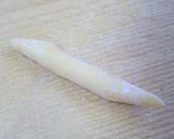 A picture of step 3 of Easy Homemade Fresh Pasta No. 9 (Trofie).