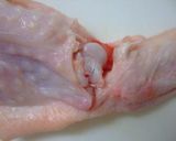 A picture of step 2 of Fried Chicken Tulips.