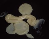 A picture of step 1 of Egg Sandwich in 5 Minutes.