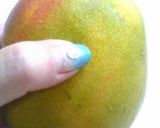 A picture of step 1 of How To Cut a Mango Restaurant Style.
