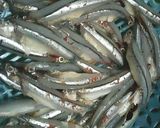 Hình bước làm 1 của món Cá cơm kho khô