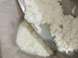 स्पंजी रसगुल्ला (spongy rasgulla recipe in Hindi)