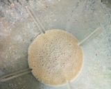 Foto langkah ke 2 dari resep Jus kurma susu.